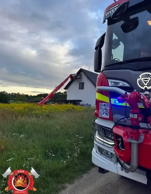 Usunięcie gniazda owadów w Biskupicach – interwencja OSP