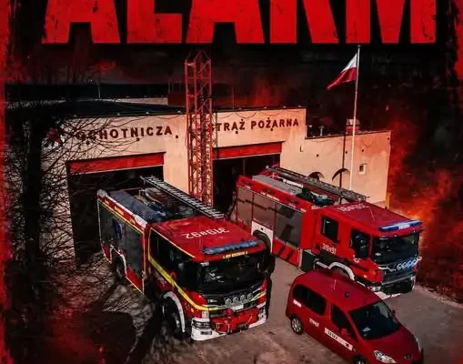 Strażacy z OSP Biskupice usuwali gniazdo owadów błonkoskrzydłych w Barcinku